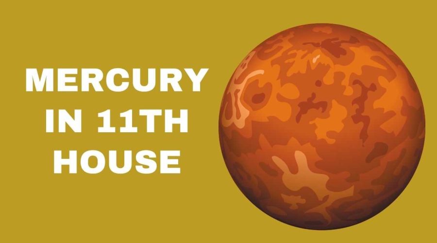 effect of mercury in 9th house