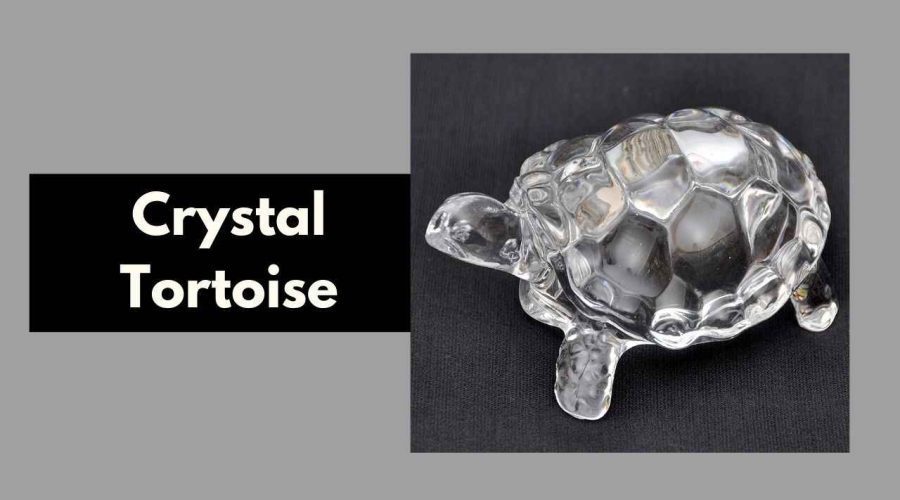 Crystal Tortoise: Whats its Relevance and Placement in Vedic Astrology?