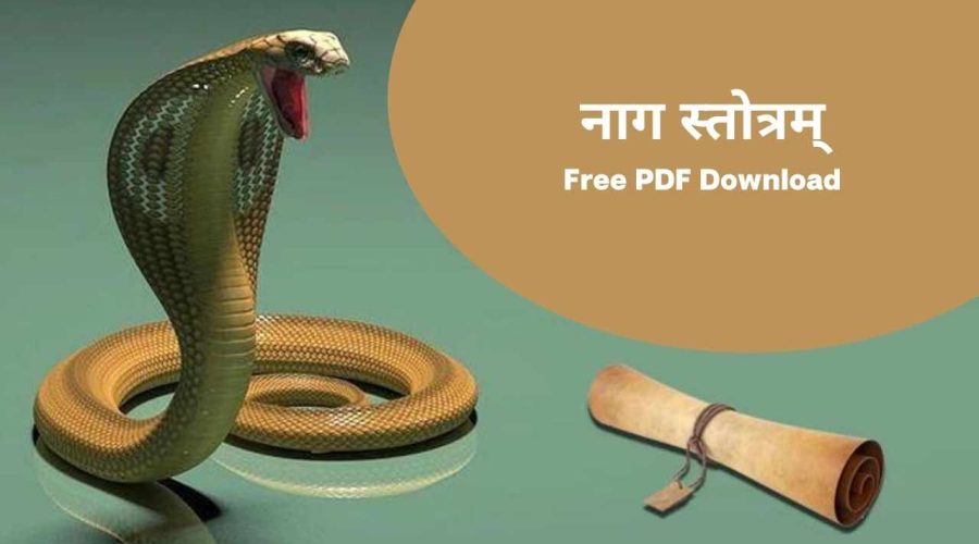 नाग स्तोत्रम् | Naag Sarpa Stotram | Free PDF Download