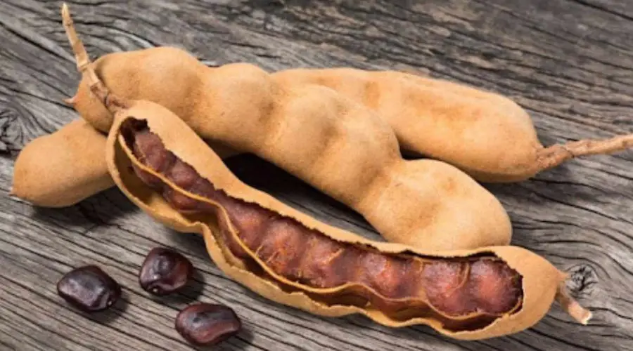 Do you know Tamarind Seeds Can Spice Up Your Sex Drive? Tamarind Seeds Benefits