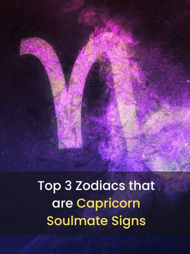Top 3 Zodiacs that are Capricorn Soulmate Signs eAstroHelp