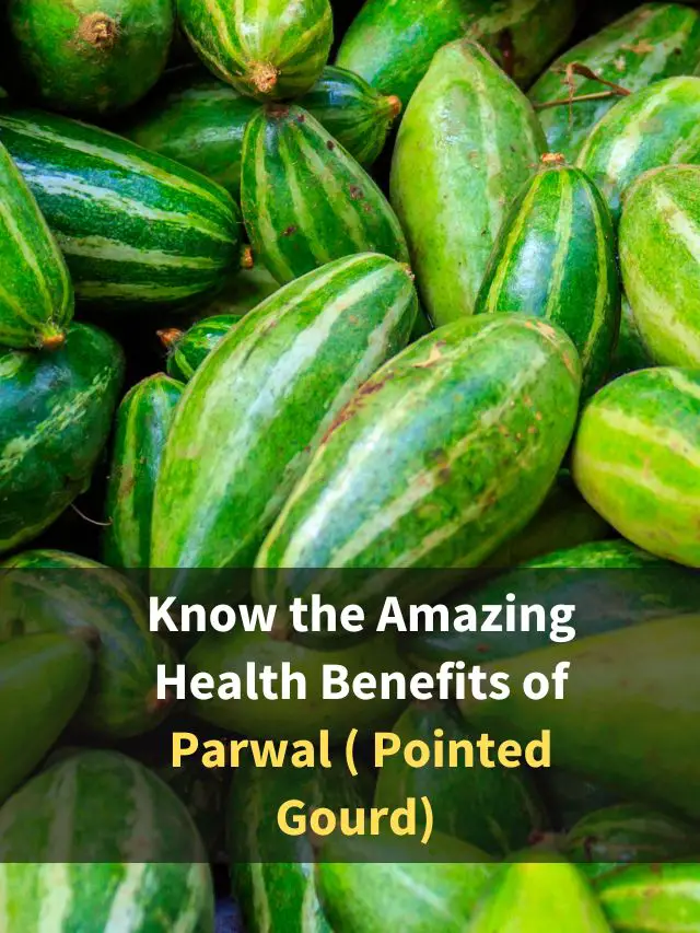 know-the-amazing-health-benefits-of-parwal-pointed-gourd-eastrohelp