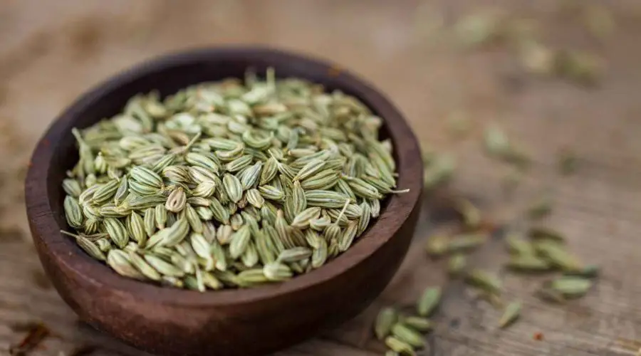 Know the Amazing Health Benefits of Saunf ( Fennel seeds) You Never Knew