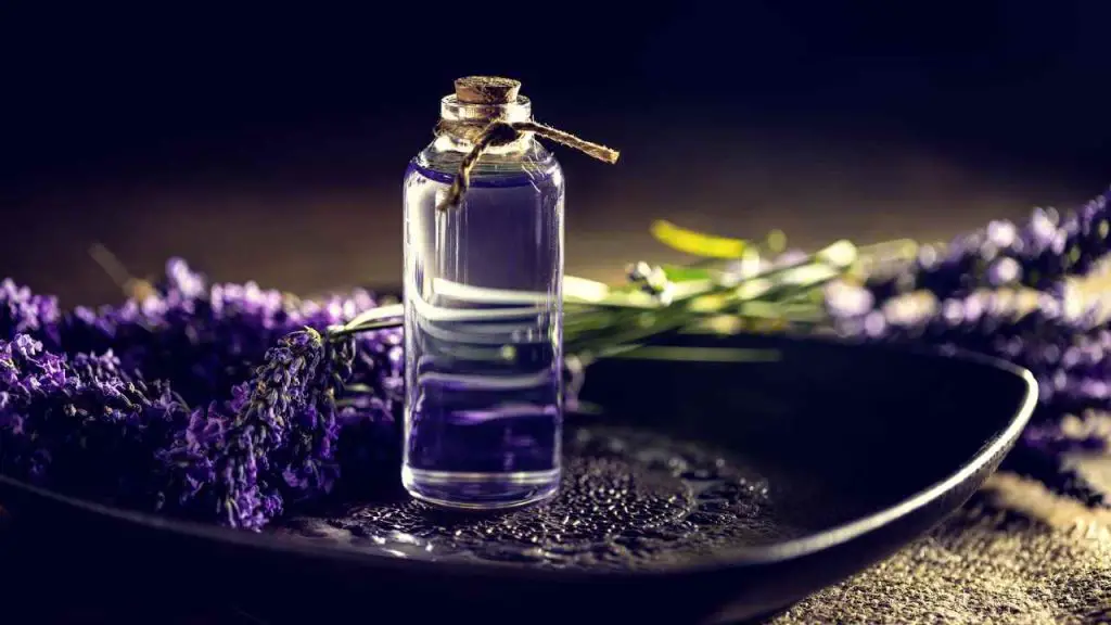 Lavender Oil