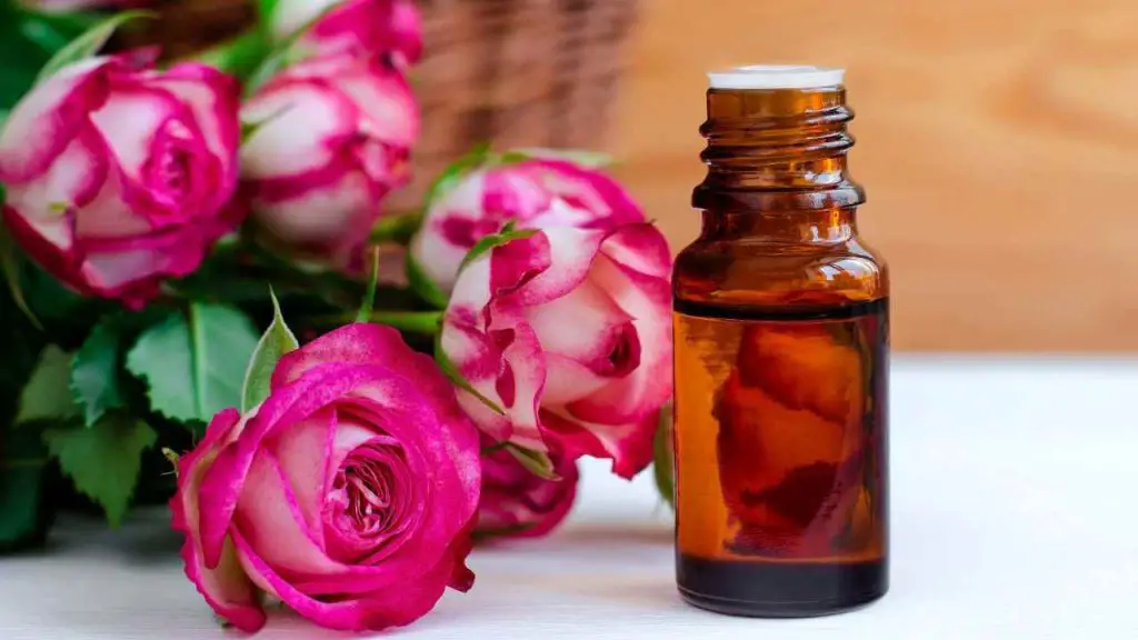 Rose Oil