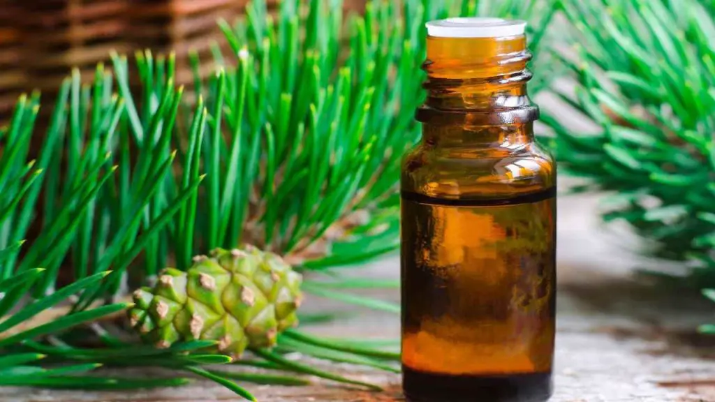 Pine Oil