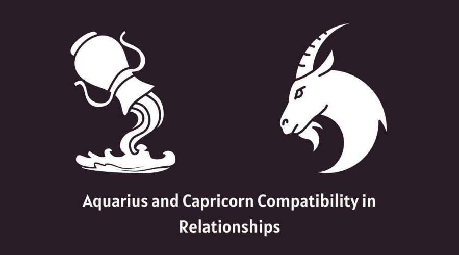 Aquarius and Capricorn Compatibility – 10 Things Each Bring To Their Relationships