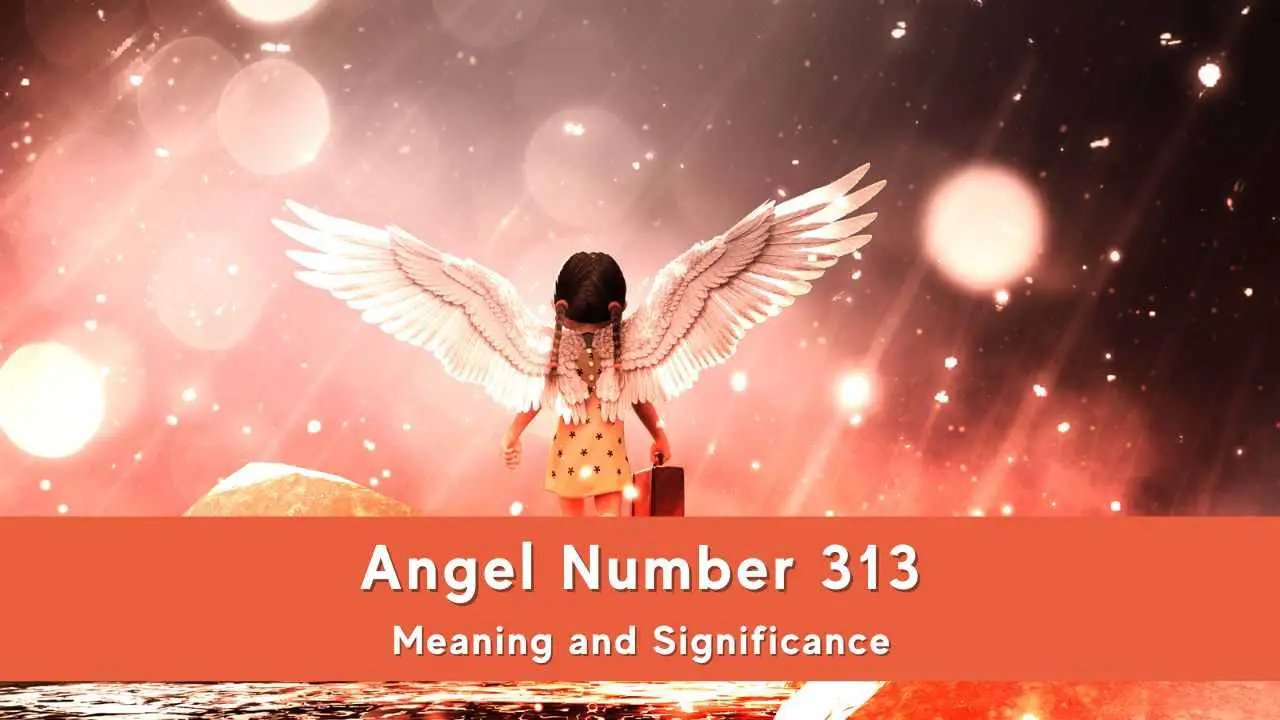 All You Need To Know About 313 Angel Number Meaning Significance 