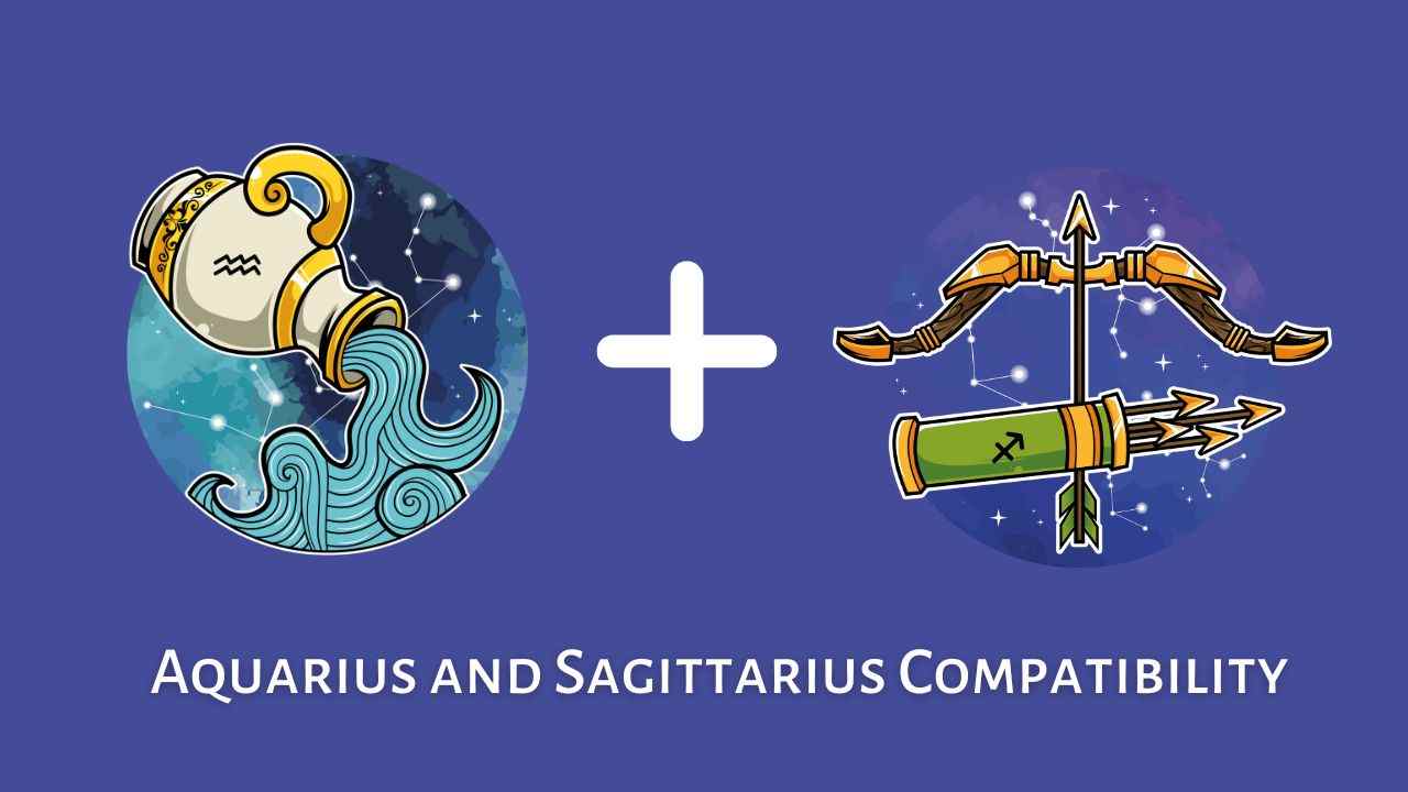 DOOZ Aquarius/Sagittarius Duo Belt - Blue - Size 2