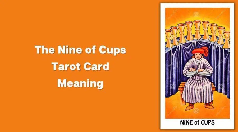 All About The Nine of Cups Tarot Card – The Nine of Cups Tarot Card Meaning