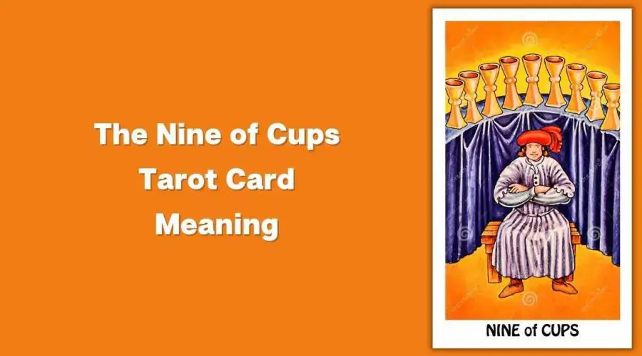 The Nine Of Cups and finding Contentment Within Ourselves -  PsychictxtPsychictxt