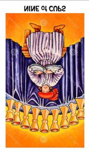 The Nine of Cups Tarot Card (Reversed)