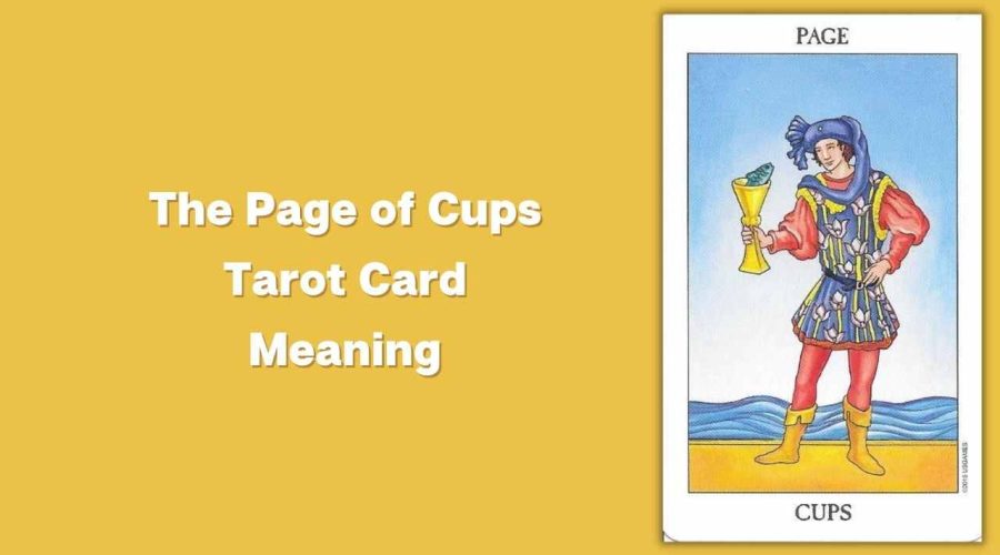 All About The Page of Cups Tarot Card – The Page of Cups Tarot Card Meaning