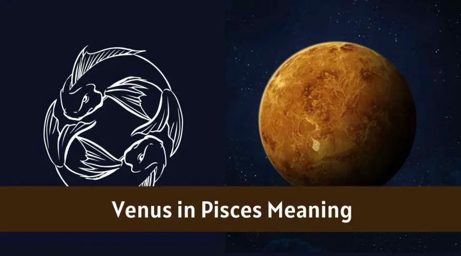 Venus in Pisces – All You need to know about “Venus in Pisces”