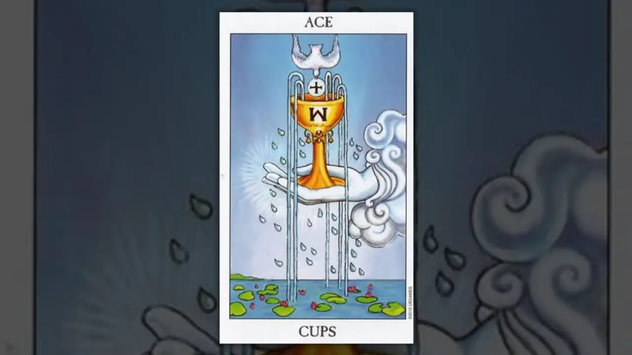 All About The Ace Of Cups Tarot Card - The Ace Of Cups Tarot Card ...