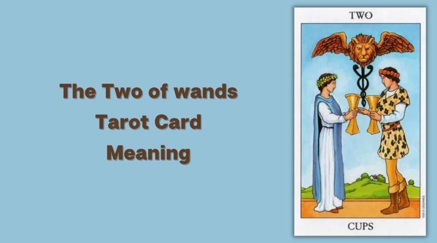 All About The Two of Cups Tarot Card – The Two of Cups Tarot Card Meaning