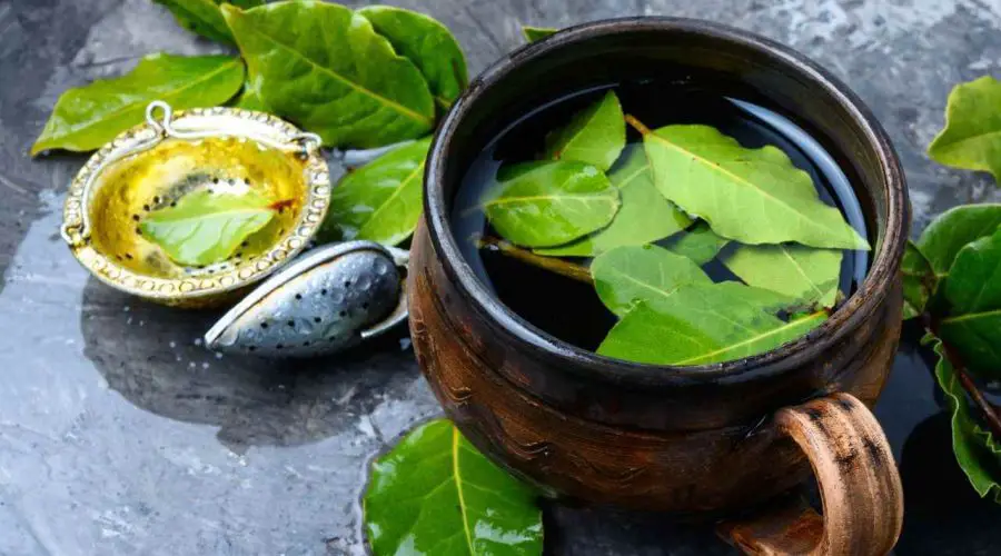 Bay Leaf Manifestation – How to Manifest with Bay Leaf