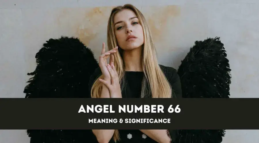 What are angel numbers? What they (could) mean? A complete guide - Times of  India