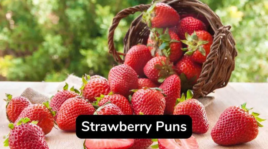 40 Trending Strawberry Puns and Jokes You Will Love