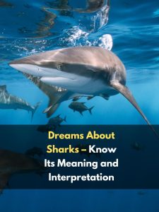 Dreams About Sharks – Know Its Meaning and Interpretation