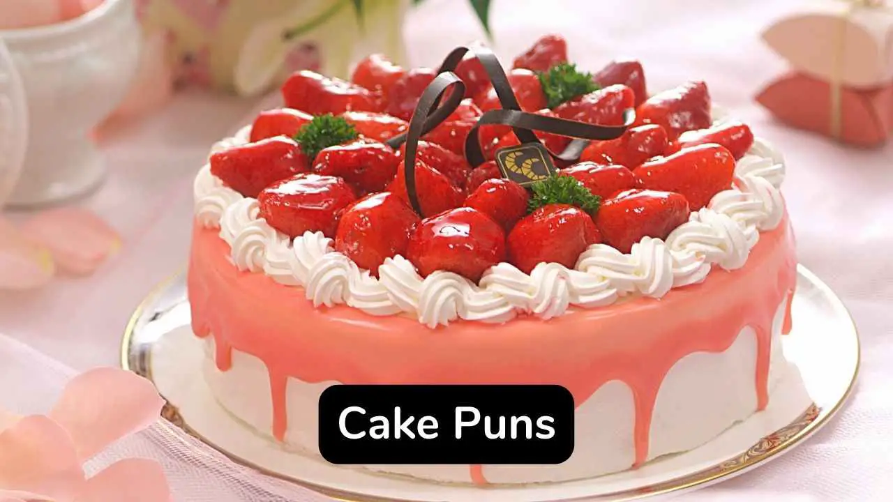 Cake Puns | TikTok