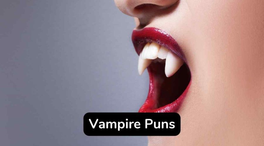 50 Trending Vampire Puns and Jokes You Will Love