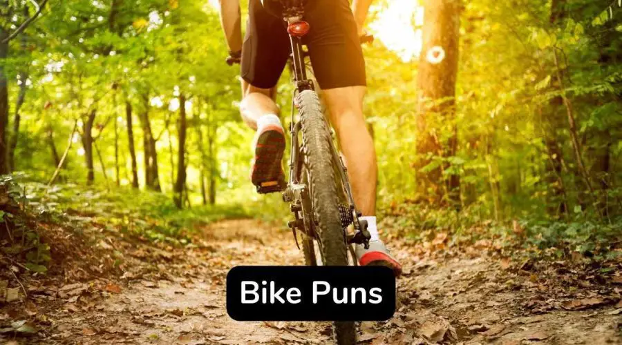 30 Trending Funny Bike Puns and Jokes You Will Love