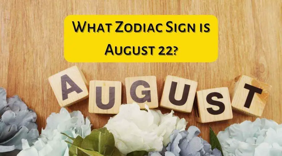 What Zodiac Sign is August 22?