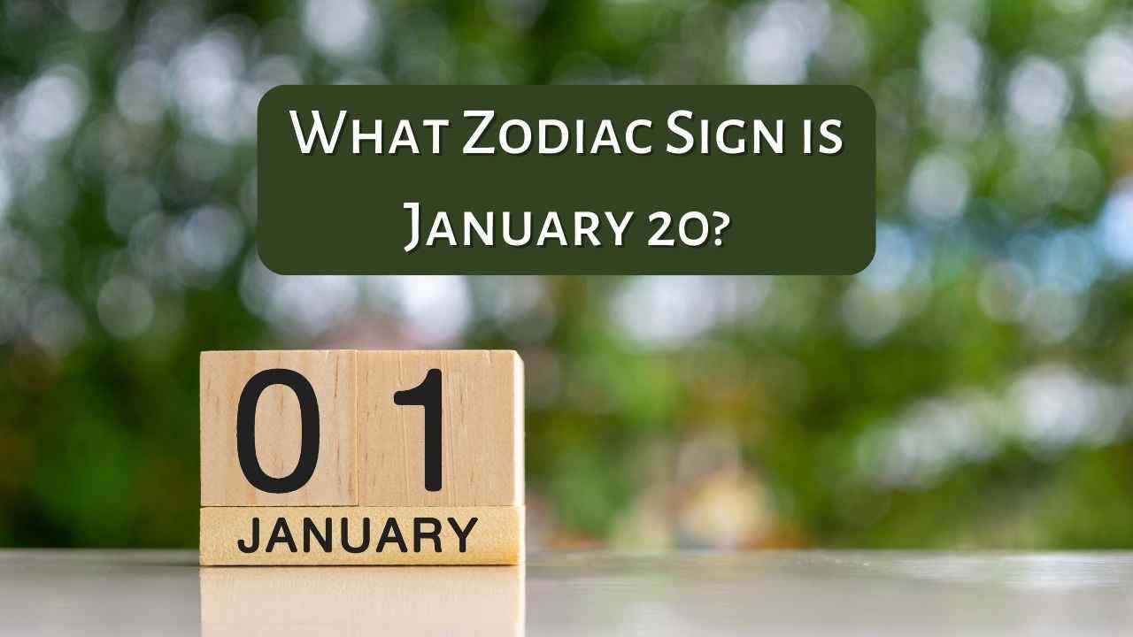 What Zodiac Sign is January 20 eAstroHelp