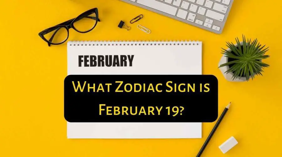 What is the Zodiac Sign For February 19?