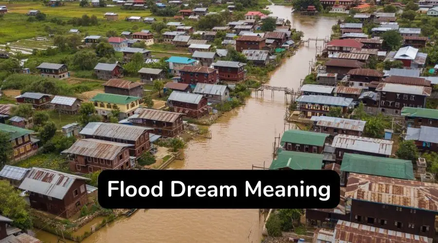 Flood Dream Meaning – Know its Interpretation and Significance