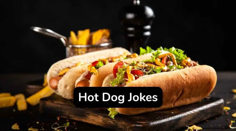 40 Craziest Hot Dog Jokes You Will Love