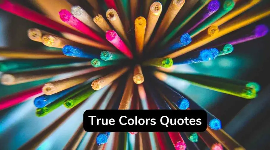 Best 40 True Colors Quotes You Should Not Miss!