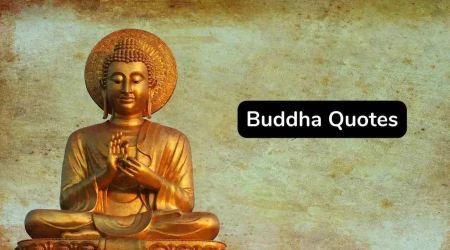 40 Best Buddha Quotes On Karma To Inspire You