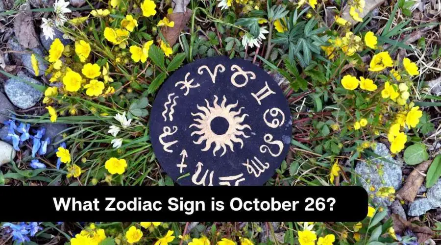 What Zodiac Sign is October 26?