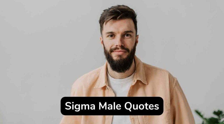 45 Top Inspirational Sigma Male Quotes To Make Your Day