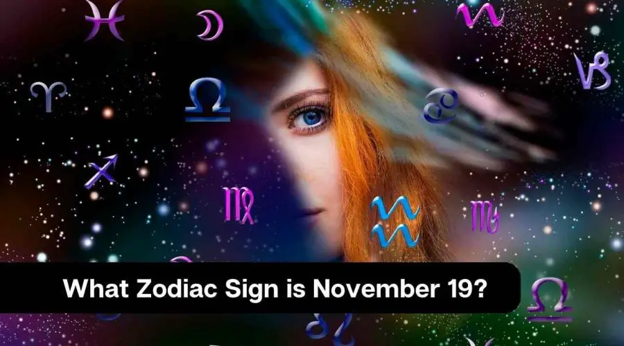 What Zodiac Sign is November 19?