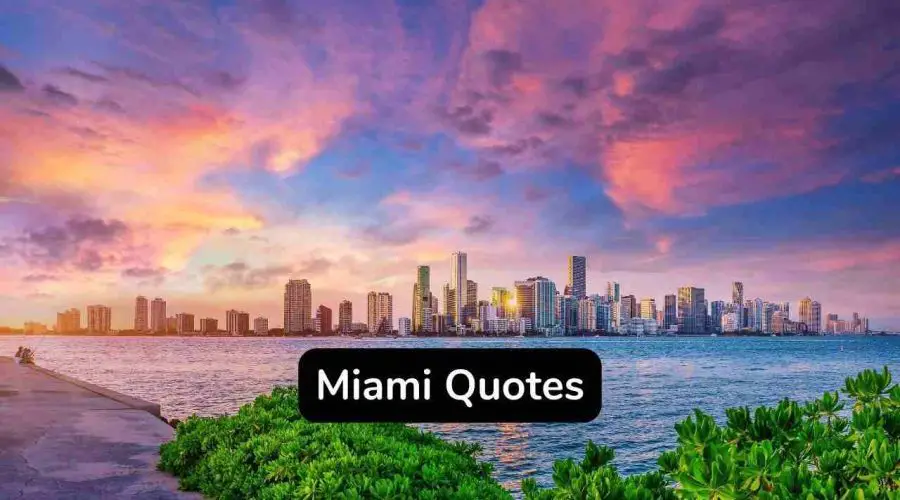 50 Top Miami Quotes to Make Your Day