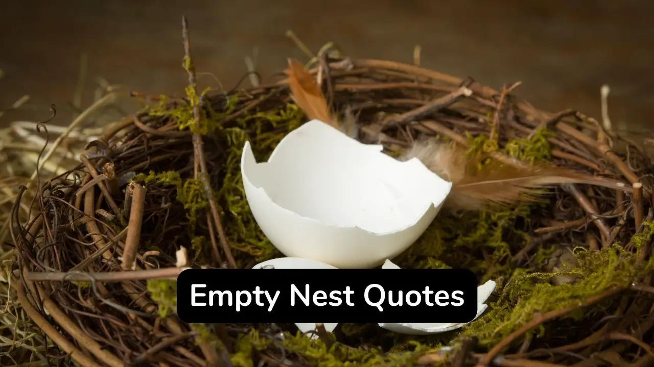 empty nest quotes sayings