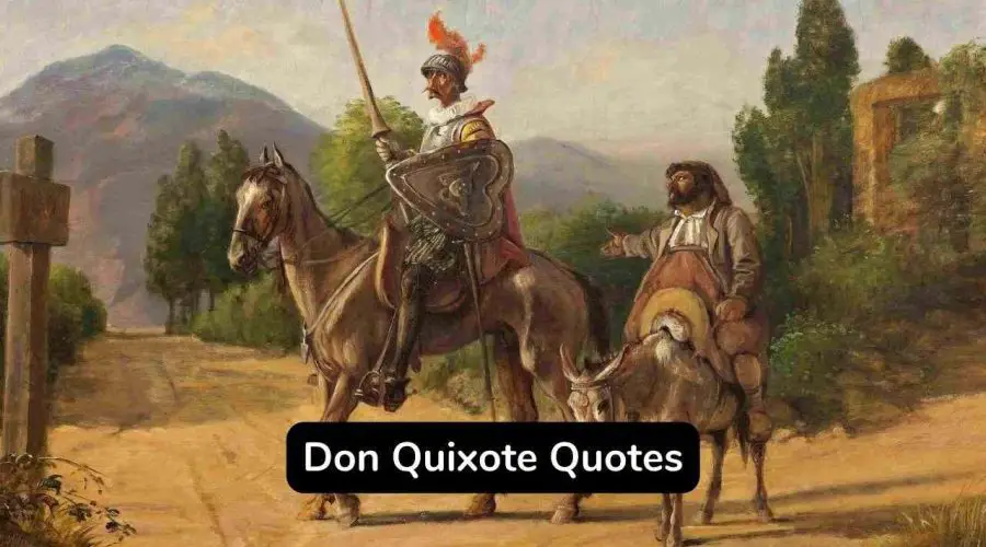 Best 35 Don Quixote Quotes You Will Love