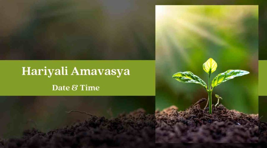 Hariyali Amavasya 2023 Date, Time, Rituals, and Significance