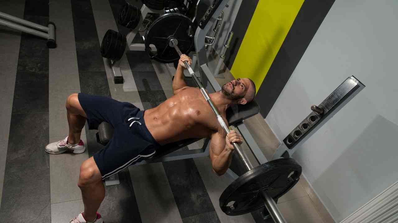 Bench Press for Chest