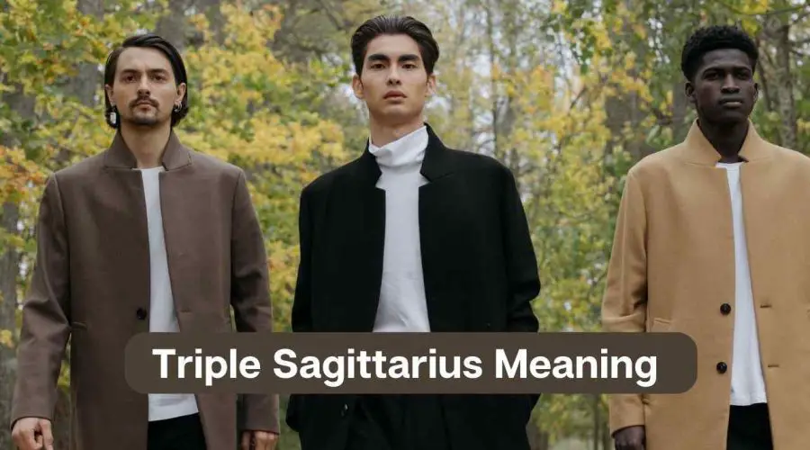 Triple Sagittarius – All You Need to Know about Triple Sagittarius