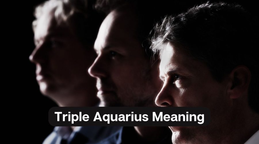 Triple Aquarius – All You Need to Know about Triple Aquarius