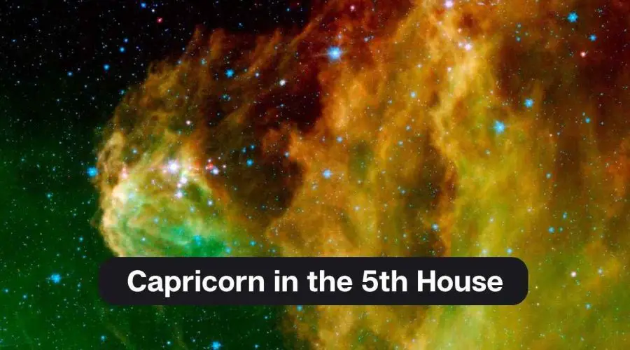 Capricorn In The 5th House A Comprehensive Guide EAstroHelp