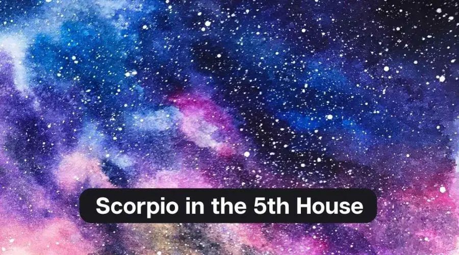 Scorpio in the 5th House – A Comprehensive Guide