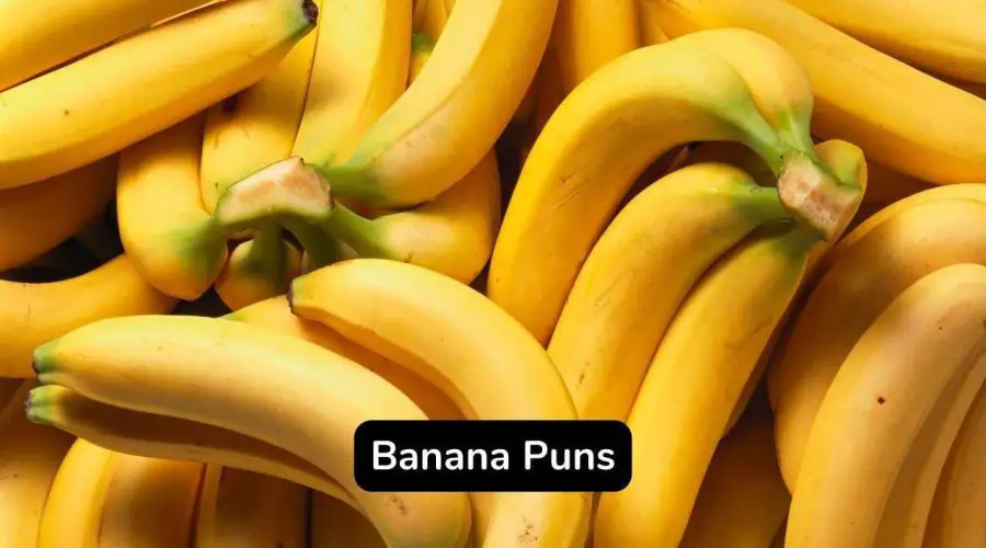 Best 40 Banana Puns And Jokes To Make Your Day Eastrohelp 