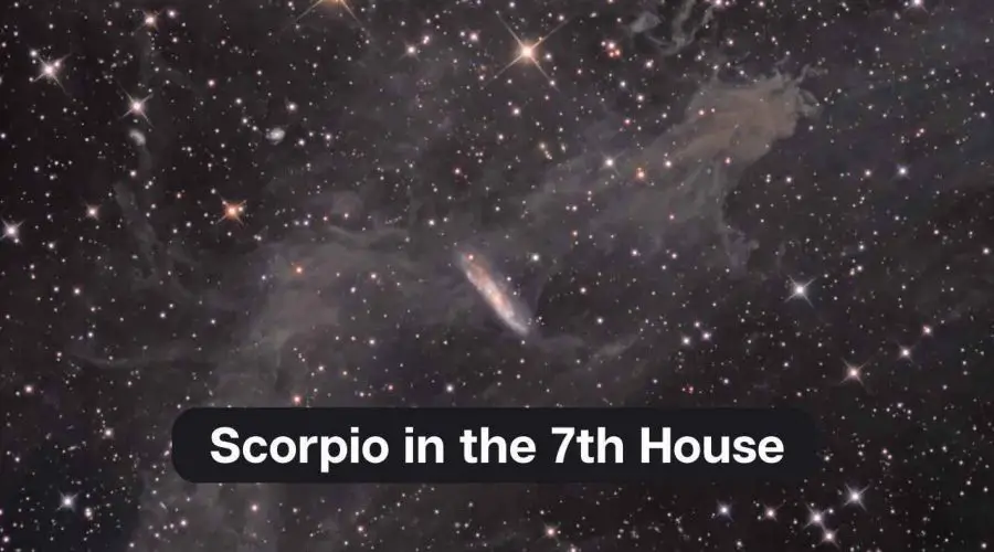 Scorpio in the 7th House – A Comprehensive Guide