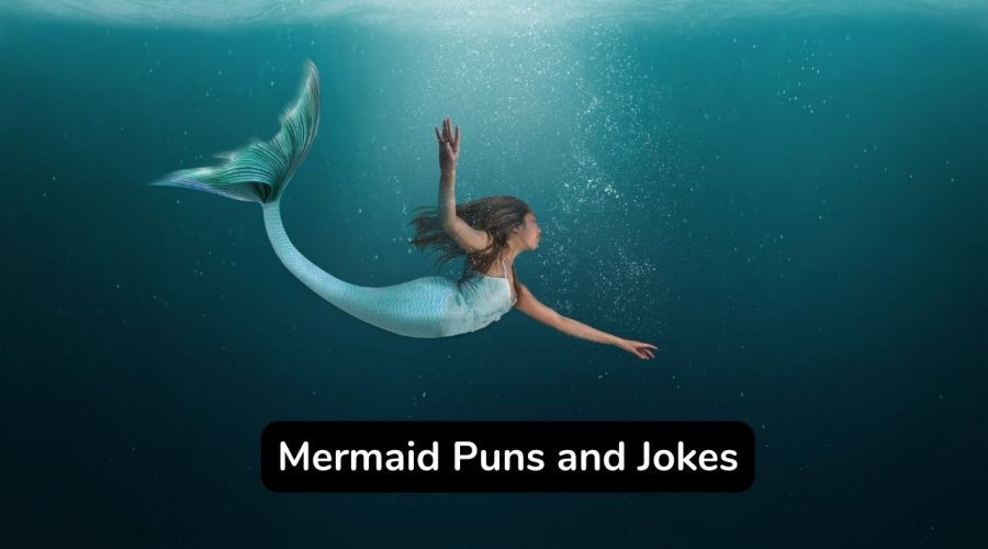 Best 40 Mermaid Puns and Jokes To Make Your Day