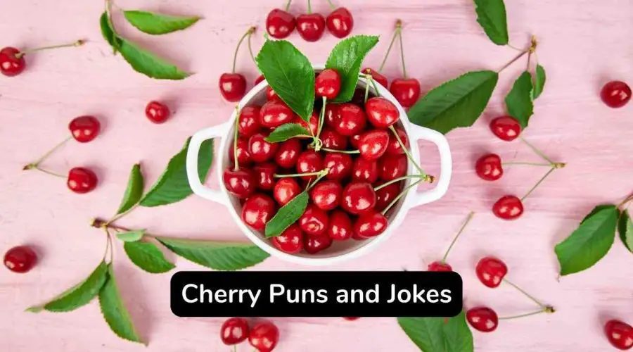 50 Funny Cherry Puns and Jokes Thar Are Too Cherrific